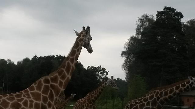 20140913_170853 (1).jpg